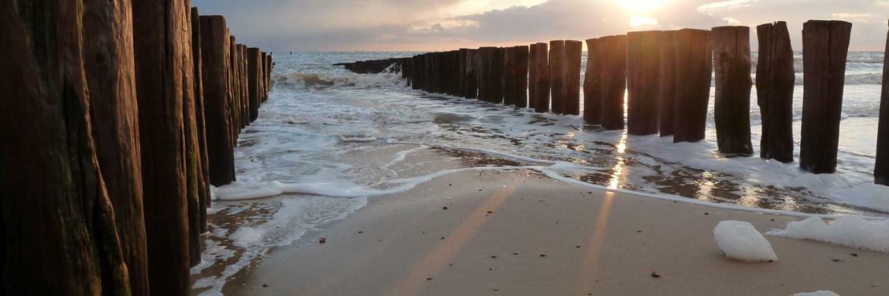 Vakantiewoning Aan Zee Zoutelande Dış mekan fotoğraf